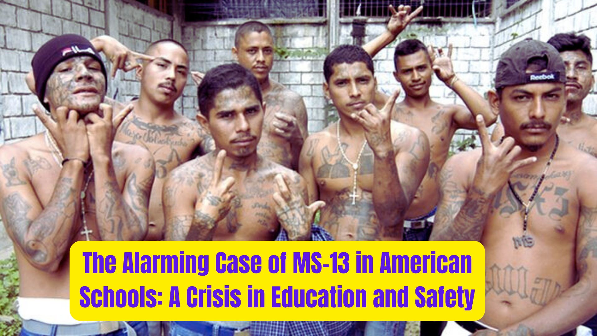 The Alarming Case of MS 13 in American Schools A Crisis in Education and Safety 1