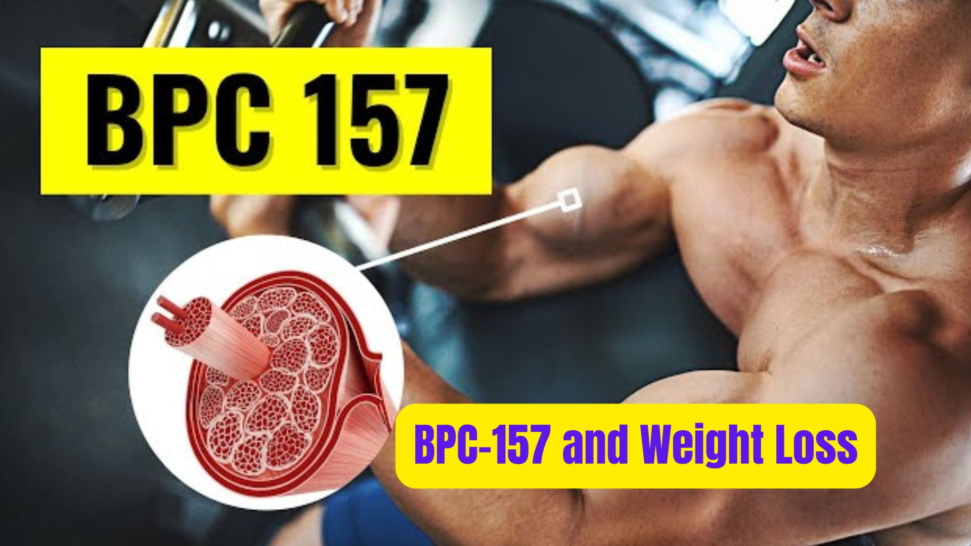 BPC-157 and Weight Loss