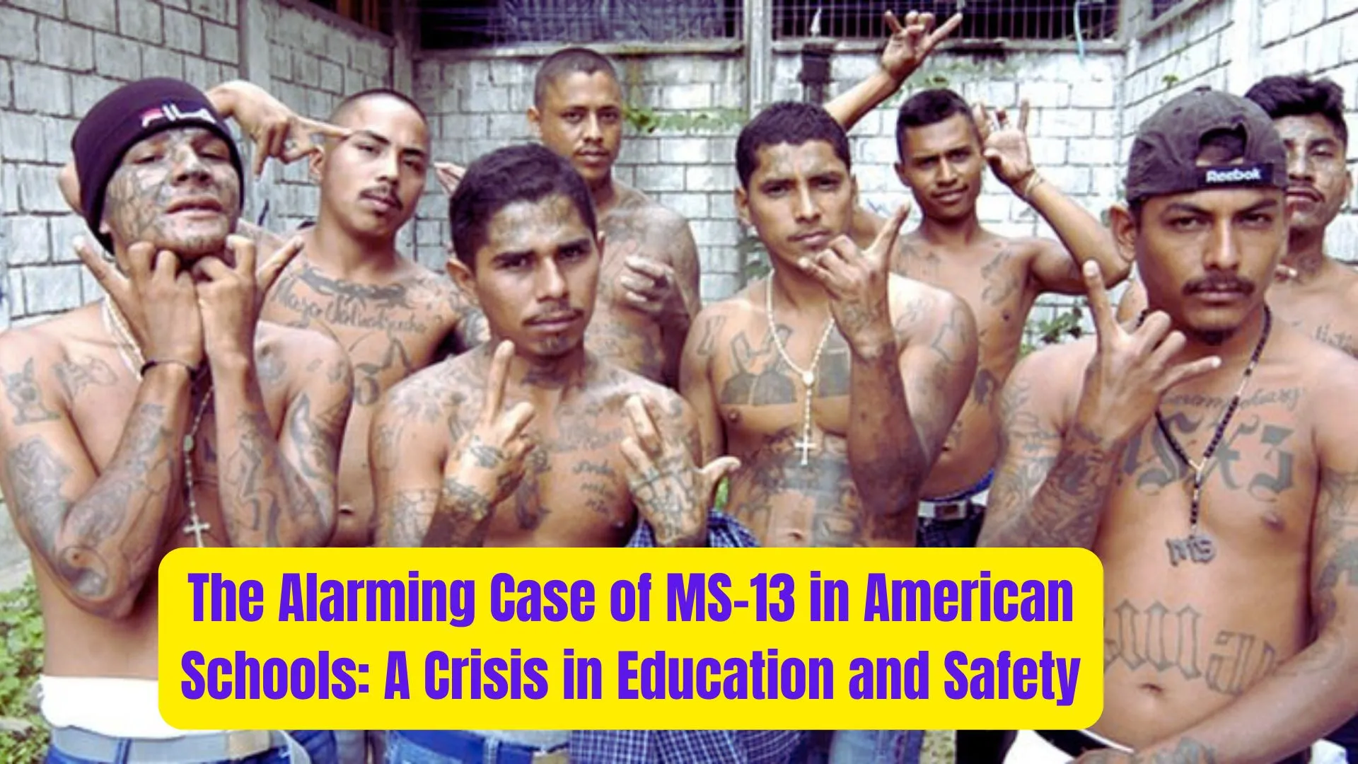 The Alarming Case of MS-13 in American Schools: A Crisis in Education and Safety 1 The Alarming Case of MS 13 in American Schools A Crisis in Education and Safety 1